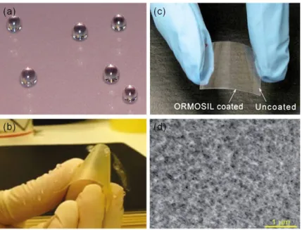 Figure 2.7: Functional surfaces prepared from ormosil. Photographs of (a) super- super-hydrophobic film on glass with a water contact angle 178.4 ◦ (b) superhydrophobic film on flexible substrate, (c) transparent film on flexible substrate and (d) SEM imag