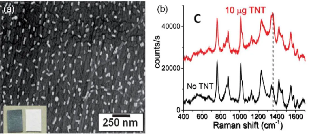 Figure 2.13: (a) SEM image of a SERS substrate prepared for the detection of TNT. Inset shows the photographs of SERS paper (left) and bare paper (right)(b) Raman signal before and after SERS paper was exposed to TNT.