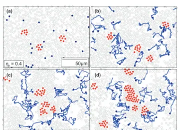 Fig. 1 Experimental snapshots of the temporal evolution of a mixture of passive (Z p = 0.40) and active (Z a E 0.01) particles at (a) 0 s, (b) 600 s, (c) 900 s and (d) 1200 s for Pe E 20