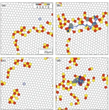 Table 1 Experimentally observed structural changes induced by a highly diluted suspension of active particles on a two-dimensional colloidal system with area fraction Z p and Pe E 20
