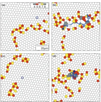 Table 1 Experimentally observed structural changes induced by a highly diluted suspension of active particles on a two-dimensional colloidal system with area fraction Z p and Pe E 20