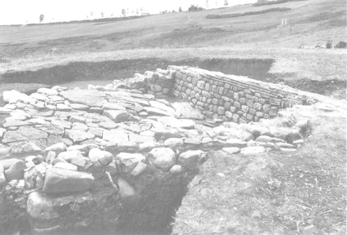 Fig. 20 :  Le bâtiment dallé vu  depuis l'Est. 