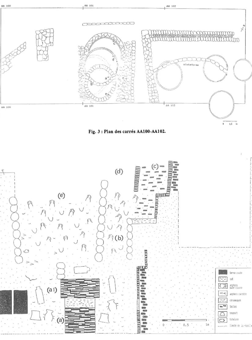 Fig. 4 :  Coupe schématique Est-Ouest des structures. 