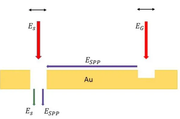 Figure 3.1 Incident beam is shown by red arrows while excited SPP is shown by  a  violet  arrow
