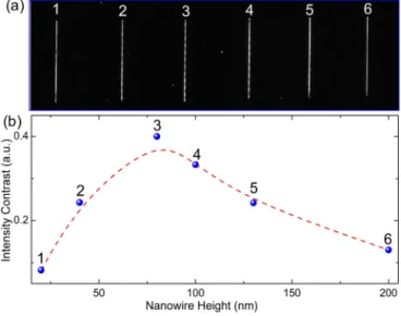 FIG. 1. (a) Schematic drawing of the Fourier transform plasmon resonance (FTPR) nanospectrometer consisting of subwavelength slit-nanowire plasmonic  interferome-ter fabricated by focused ion beam (FIB) etching and metal nanowire (or ridge) deposition