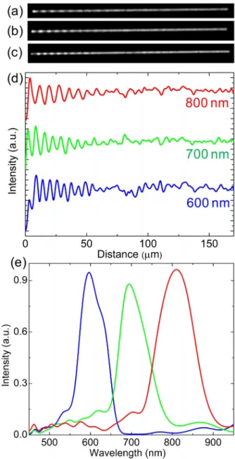FIG. 3. (a) Fourier transform of the interference fringes gives the wave vector of SPPs