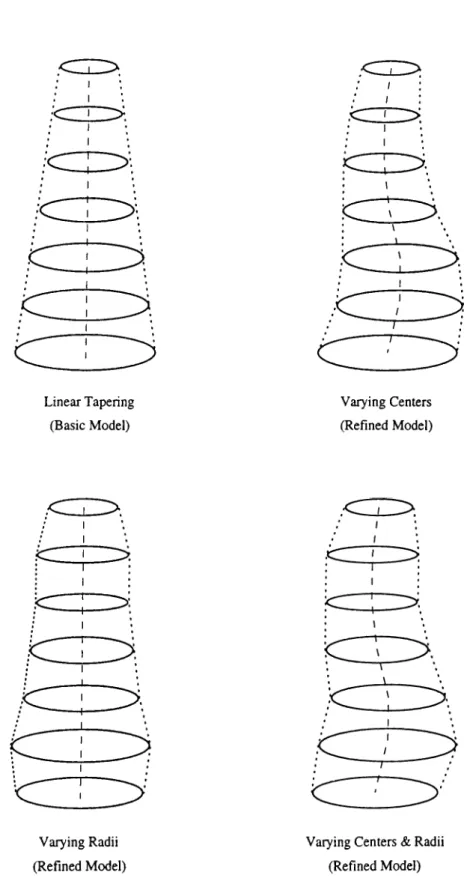 Figure  3.4.  Enhancements  for  Branch  Formations