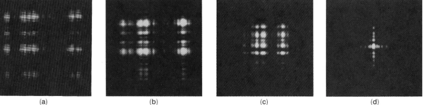Figure 3 shows the input function that was used for the simulations and for the experiments