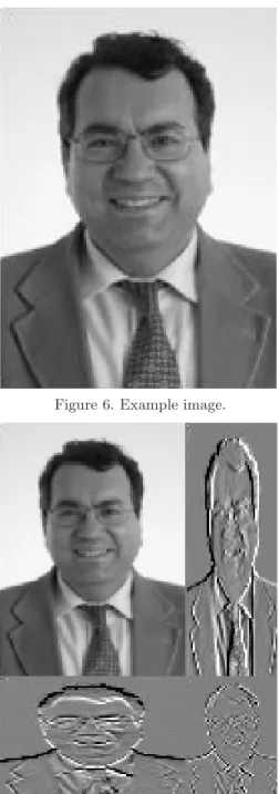 Figure 6. Example image.