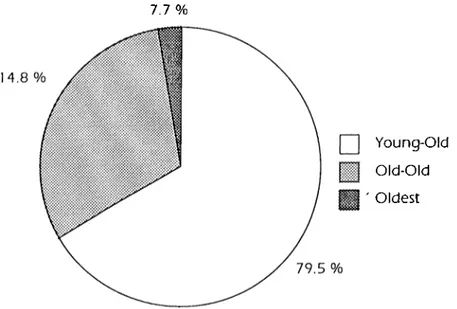 Figure  5.1.  Age  groups  distribution  in  the  research.