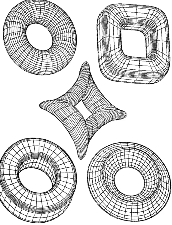 Figure 2.4:  Superquaclric  toroids  with  different  exponents.