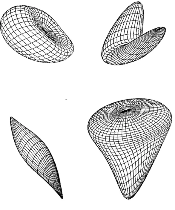 Figure 3.5;  An  ellipsoid  deformed  using  different  FFDs.