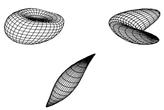 Fig. 8. An ellipse deformed using different FFDs. 