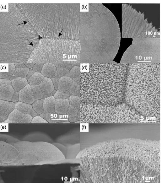 Figure 1. Top-view SEM images of (a) composite ZnO–CuO film taken on the central region and (b) edge of the composite film