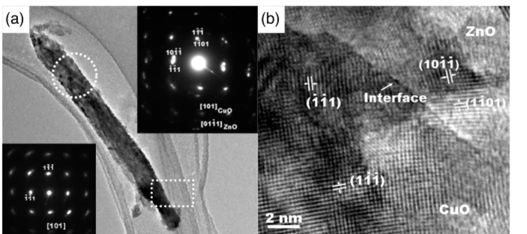 Figure 3. (a) Bright-field TEM image of a nanowire. The insets are SAED patterns taken from the tip (bottom left) and the center (top right) of the nanowire