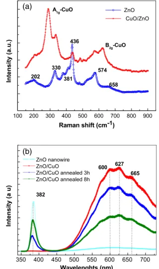 Figure 5. Schematic illustrations of the growth process of the composite ZnO–CuO nanostructure film.
