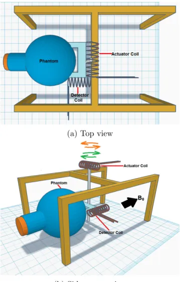 Figure 2.5: Illustration of back rotation experimental setup demonstrating the detector coil, phantom, actuator coil for two different view angles