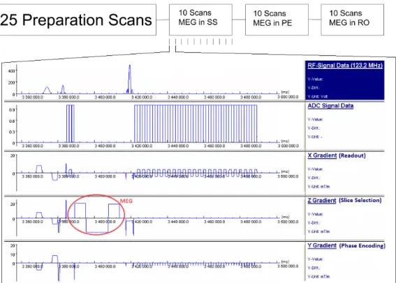 Figure 2.8: EPI-SE sequence with MEG used in the brain experiments