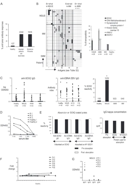 Figure 1.  Antibody responses in patients with monoclonal gammo- gammo-pathies. (A) Preabsorbed serum samples from patients with MGUS,  AMM, and MM were evaluated by SADA for the presence of IgG  anti-bodies against a panel of 83 SEREX-defi ned antigens