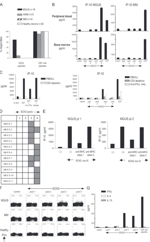 Figure 2.  Analysis of SOX2-specifi c T cell responses. (A) Overall  analysis of frequency of anti-SOX2 T cell responses in patients with  MGUS, AMM, and MM and healthy donors