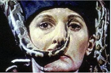Figure 5: Marina Abramovic, Dragon Heads, 1993. 