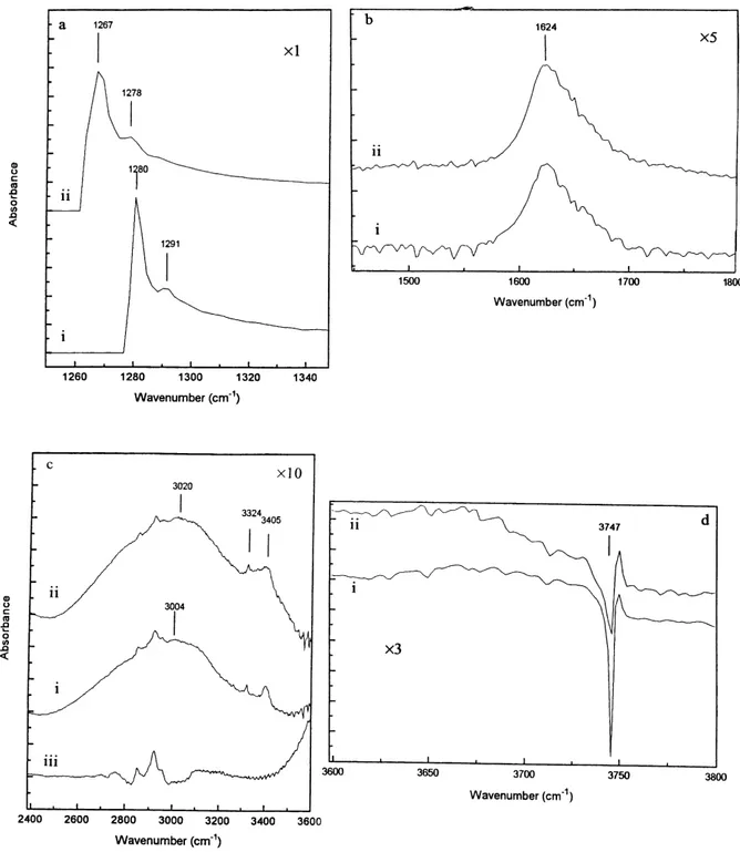 Fig. 2. Different regions of the IR spectra after ammonia synthesis after: (i) 8 h and (ii) 12 h.