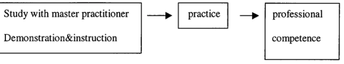 Figure 9.  The craft model of professional education
