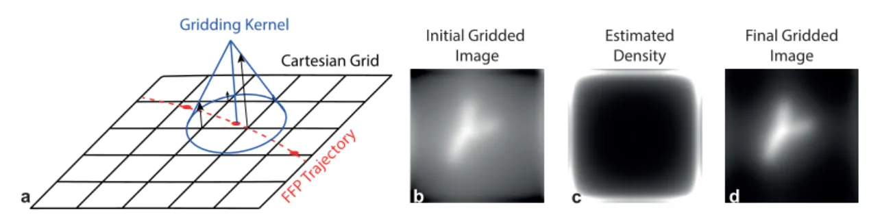 Figure 2.  The proposed gridding algorithm. (a) Each data point on the FFP trajectory is convolved with the gridding kernel and  re-sampled onto a Cartesian grid