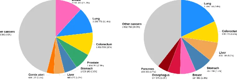 Figure 1.1. Estimated Number of New Cancer Cases and Deaths Worldwide in 2020 (Taken from  Ferlay et al., 2020 [5]) 