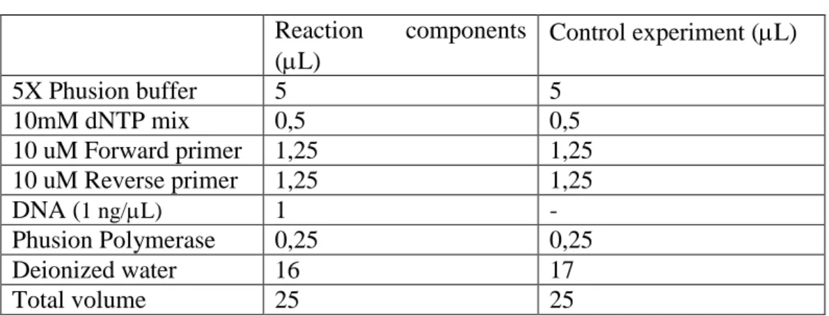 Table 3- PCR Components   Reaction  components  (L)  Control experiment (L)  5X Phusion buffer  5   5   10mM dNTP mix  0,5   0,5   10 uM Forward primer  1,25   1,25   10 uM Reverse primer  1,25   1,25   DNA ( 1 ng/L) 1  -  Phusion Polymerase  0,25   0,2