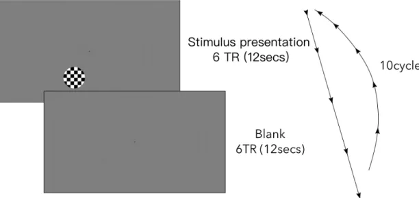 Figure 3.1: Experimental design of functional localizer scan. The scan had block design