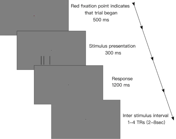 Figure 3.2: Time course of single trial in task based fMRI scan. Before stimulus presentation, the fixation point turned red for 500ms to indicate that the stimulus will be presented soon