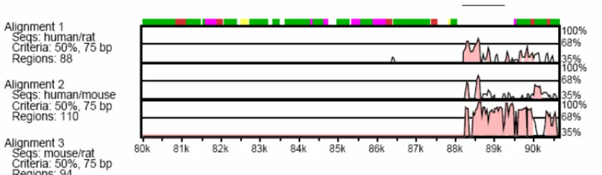 Figure 3.1. VISTA plot of conservation levels in a 90 kbp genomic DNA in human,  mouse  and  rat