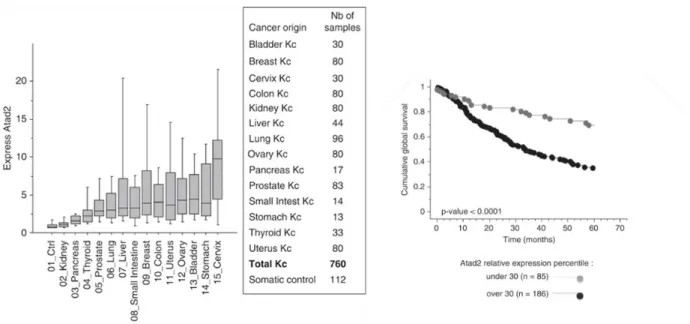 Figure 1. 2: Left graph: ATAD2 expression levels across various cancer types Right graph: 