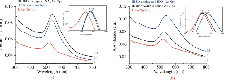 Figure 8a displays the UV-Vis spectra of Au Nps tagged on the quartz surface; SA immobilized Au Nps and biotin conjugated SA immobilized Au Nps on the quartz surface
