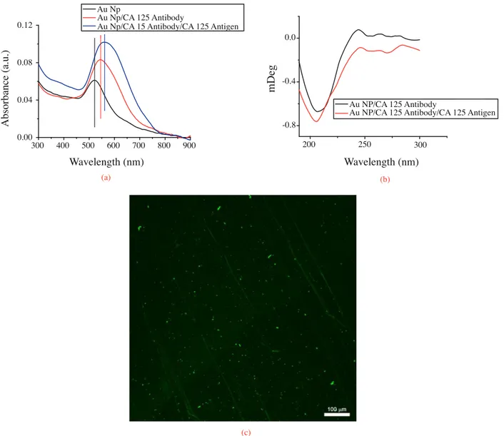 Figure 9. UV-Vis spectrum of (a) Au Nps film on quartz, CA 125 antibody immobilized Au Nps film on quartz, CA 125 antigen conjugated CA 125 antibody on Au Nps on quartz, (b) far UV CD spectra of CA 125 antibody immobilized Au Nps film on quartz, CA 125 ant