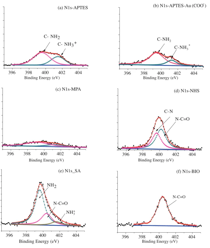 Figure 4. XPS spectra of N1 S region of APTES functionalized Si surface (a), Au Nps film (b), MPA modified Au Nps film (c), NHS modified Au Nps film (d), SA immobilized Au Nps films (e), biotin conjugated SA immobilized Au Nps films (f).