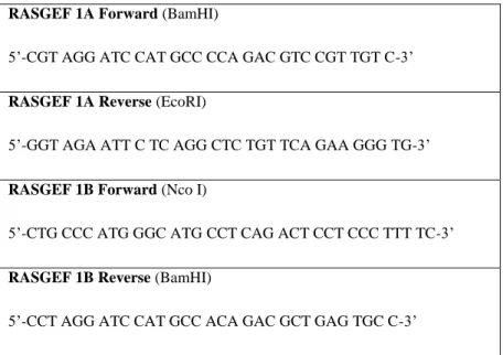 Table 2.2: RasGEF1A and RasGEF1B primers for cloning into pGEX system. 