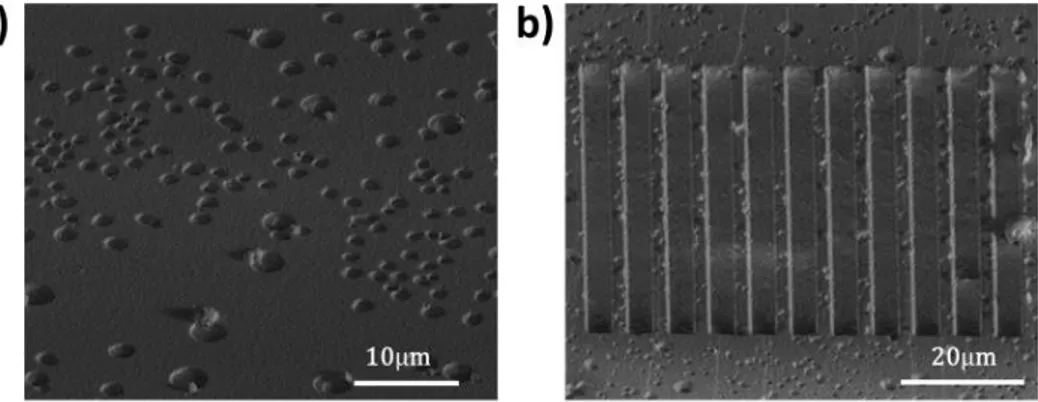 Figure 4.1 – Scanning electron microscopy images of a) as grown HPCVD InN  films and b) corrugated plasmonic structures  