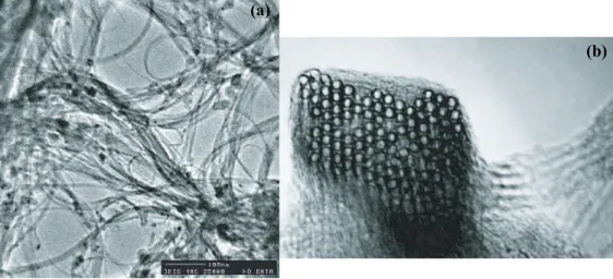 Figure 1.2: Images of carbon nanotubes, taken by a transmission electron mi- mi-croscope (TEM) (reproduced from Ref