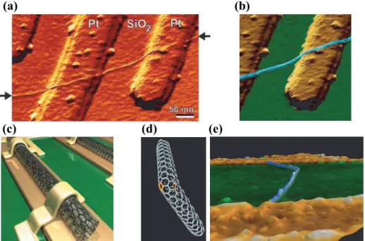 Figure 1.6: A nanotube as a molecular electronic wire on two microfabricated electrodes