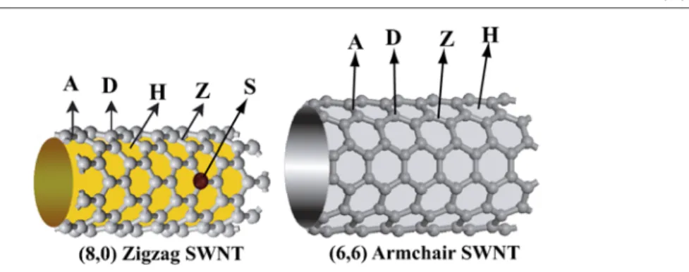 Figure 12. A schematic illustration of different binding sites of individual atoms adsorbed on a zigzag (8, 0) tube
