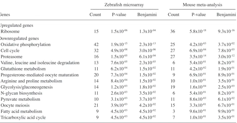 Table I. Primers and the primer efficiencies used for the microarray confirmations.