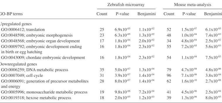 Figure 1. Cell death detection assay of rapamycin treated ZF4 cells. One-way  analysis of variance with Fisher's multiple comparisons were performed to  test the significance (*) of rapamycin treatment from the control (P=0.017)  and DMSO (P=0.004)
