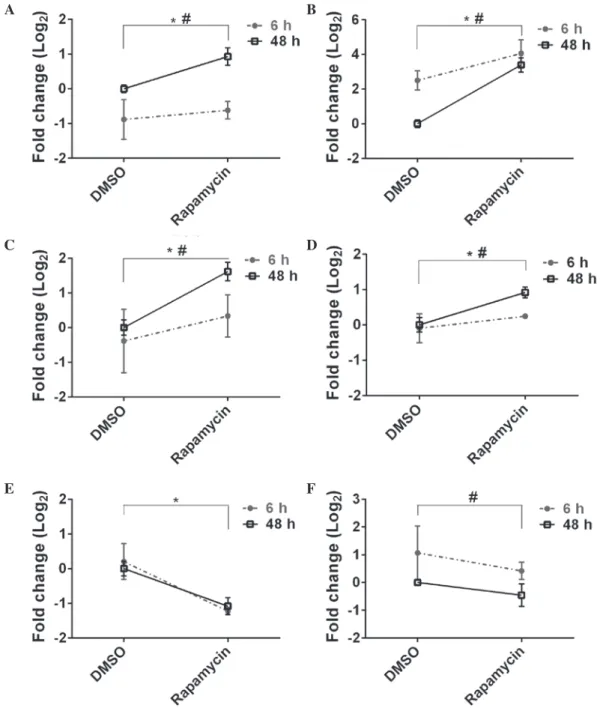 Table III). Several GO-MF categories, including DNA  binding, structural constituent of ribosomes, threonine-type  endopeptidase and peptidase activity, and cofactor binding,  were common between zebrafish and mice