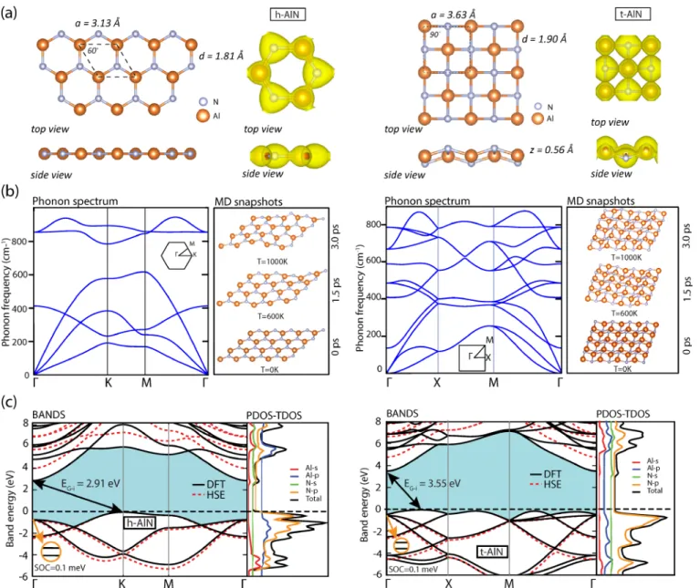 FIG. 4. (a) Top and side views of the optimized atomic structure of h-AlN and t-AlN. Primitive unit cells are delineated by dashed lines