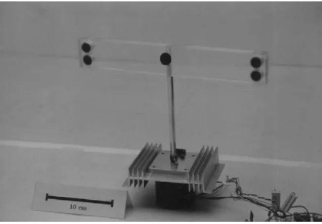 Fig. 2. Horizontal cross-sections of the targets di2erentiated in this study.
