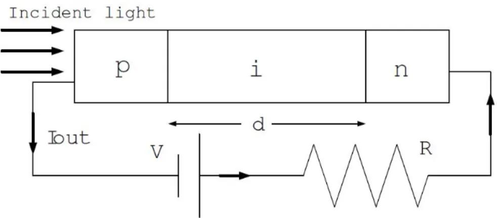 Figure 2.1.4 Schematics of a p-i-n photodiode 