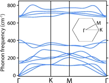 FIG. 10. Phonon-dispersion curves calculated for the bilayer of g-GaN.