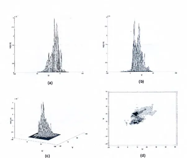 Figure 3.4:  2 -D human skin color histogram in the UV space seen  from different  angles